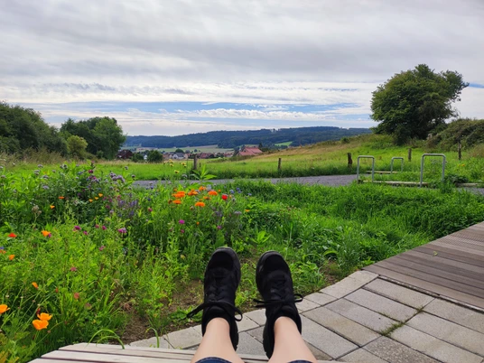 Aussicht von einer Bank auf blühende Wiesen und einen Hügel am Horizont, mit dunklen Schuhen im Vordergrund.