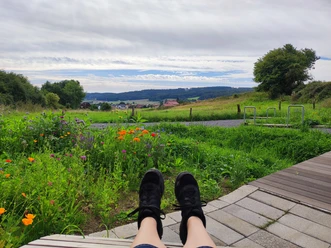 Talblick Bärenquelle - Aussicht Aussicht von einer Bank auf blühende Wiesen und einen Hügel am Horizont, mit dunklen Schuhen im Vordergrund.