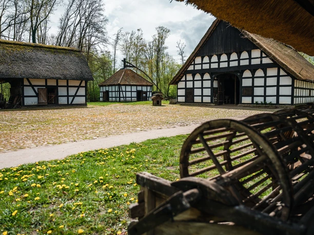 Fachwerkhäuser mit Reetdächern umgeben einen gepflasterten Innenhof auf dem Museumshof Rossmühle.