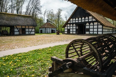Museumshof Rossmühle Rahden Fachwerkhäuser mit Reetdächern umgeben einen gepflasterten Innenhof auf dem Museumshof Rossmühle.