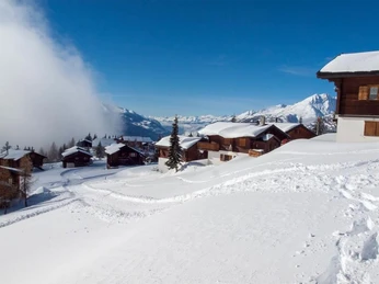 Rosswald_Winter2016-4