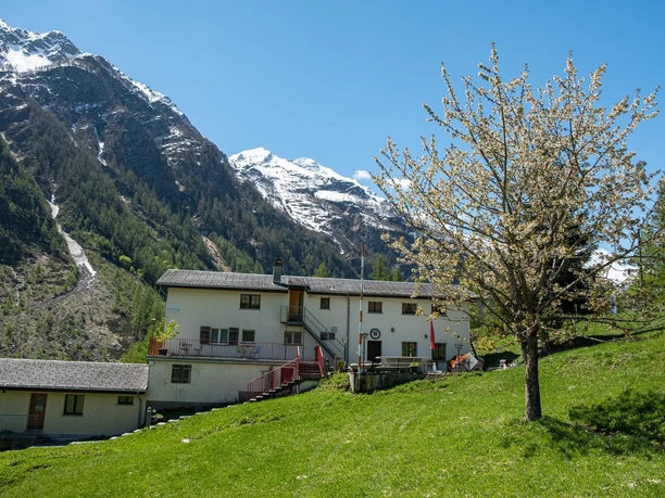 Zwischbergen