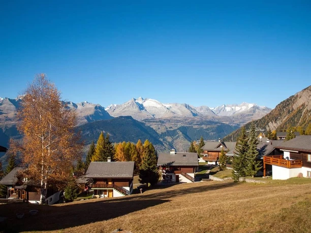 Aussicht Bergfink