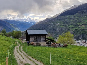 threema-20240427-120219584