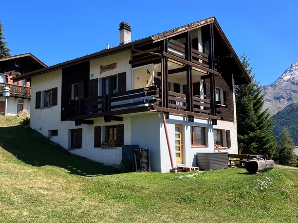 bergdohle