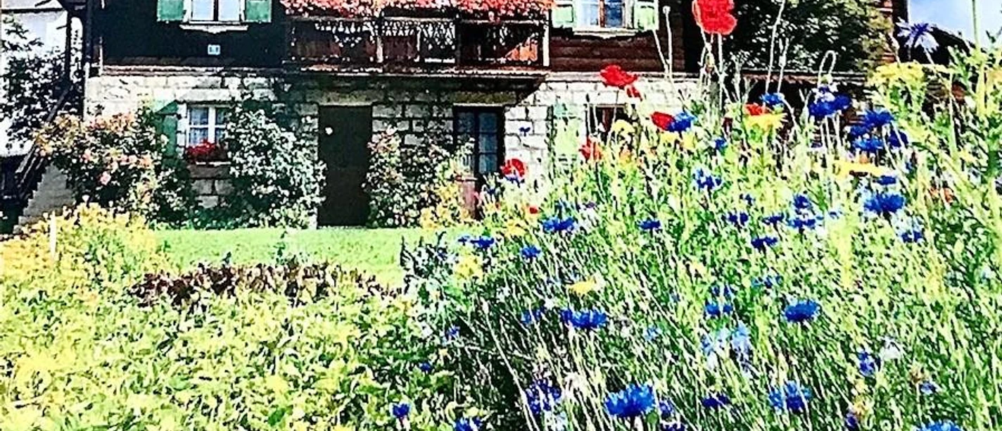 Haus Sommer ☀️