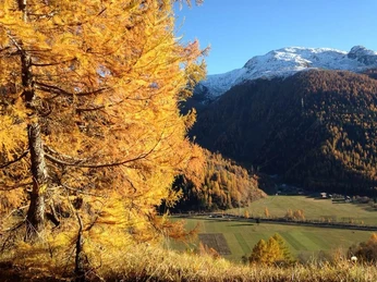 Gomer Herbstimpressionen