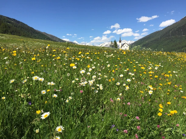 Sicht talaufwärts im Frühling