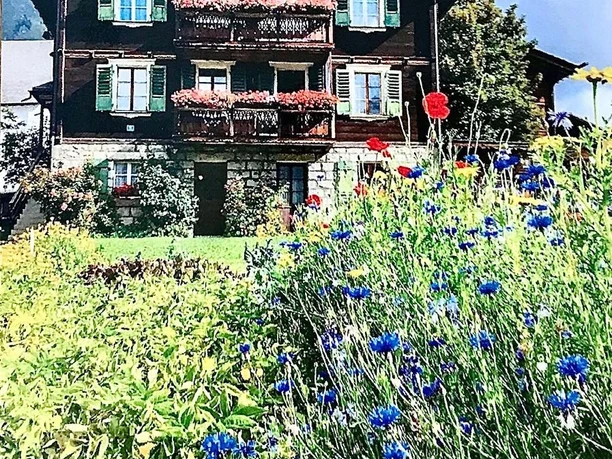 Haus Sommer ☀️