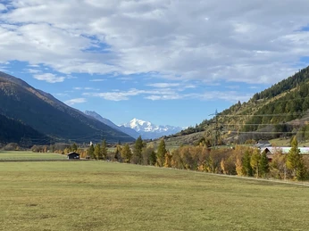 Blick_Weisshorn_Sommer_1
