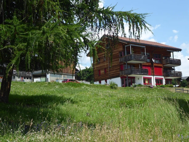 Sunneliecht Müller rechts 2. Stock im Sommer