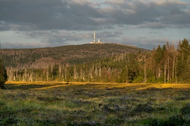 Blick zum Brocken vom Torfhaus (c) HTV, fotoweberei.jpg