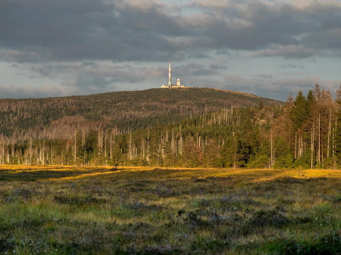 Blick zum Brocken vom Torfhaus (c) HTV, fotoweberei.jpg