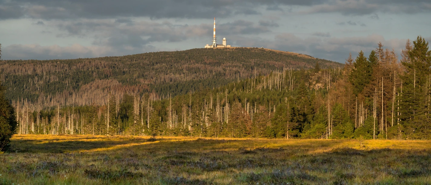 Blick zum Brocken vom Torfhaus (c) HTV, fotoweberei.jpg