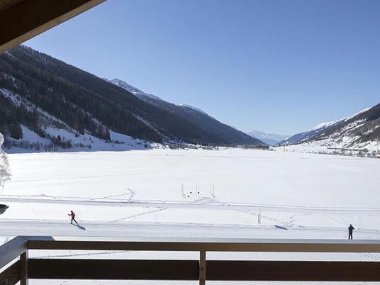 Aussicht Oberwald (4)
