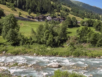 Niederwald von der Rotten aus gesehen