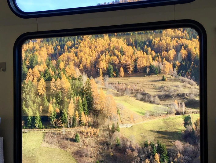Malerische Zugfahrt nach Niederwald