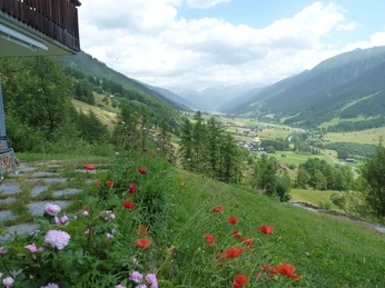 Aussicht ins Goms.jpg