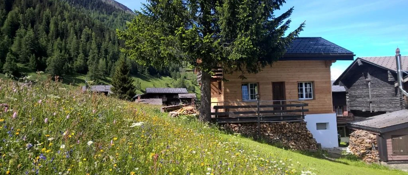 Haus im Sommer
