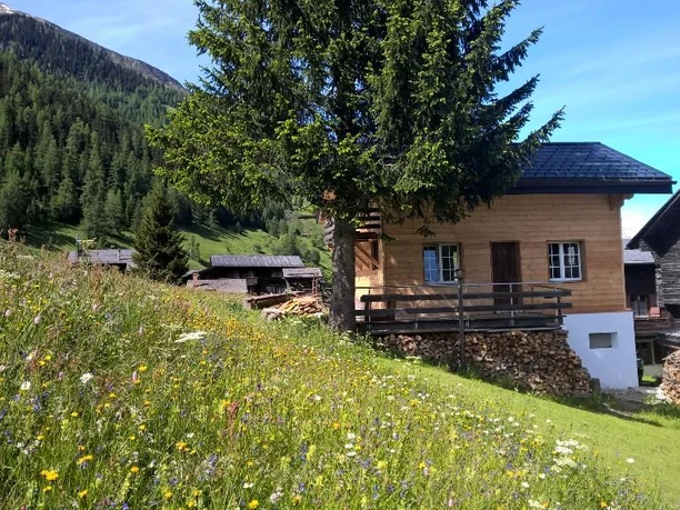 Haus im Sommer