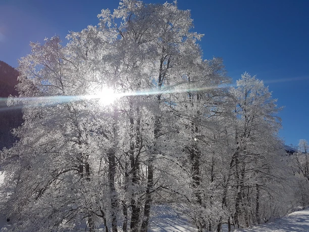 Es hat geschneit