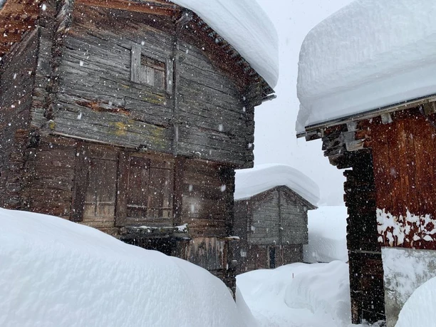 Winter 2021 5