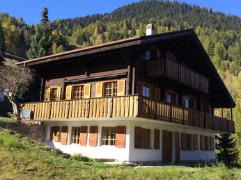 Chalet Woodland Aussenansicht Sommer