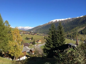 Chalet Woodland Aussicht Sommmer