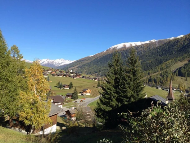Chalet Woodland Aussicht Sommmer