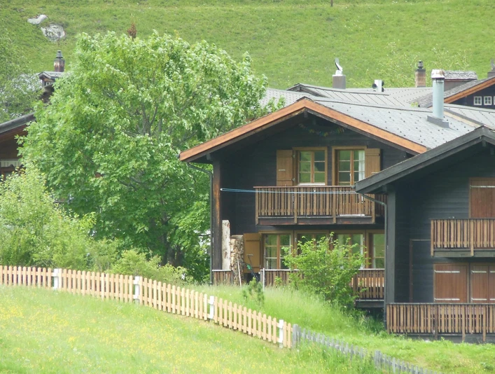 Mitten im Grün - Fricker "Hiischi"