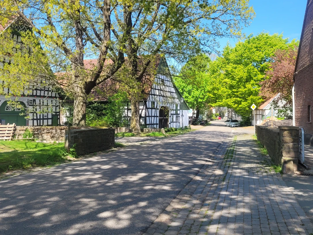 Offelten Fachwerkhäuser flankieren eine schattige Landstraße, gesäumt von blühenden Bäumen und auffallendem Mauerwerk.