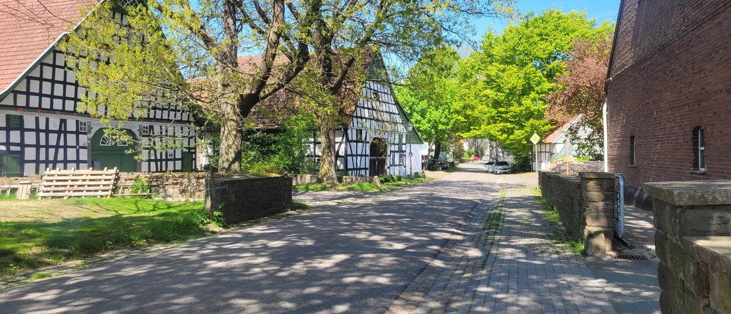 Offelten Fachwerkhäuser flankieren eine schattige Landstraße, gesäumt von blühenden Bäumen und auffallendem Mauerwerk.