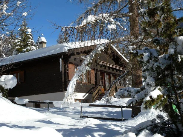 bürcher_winter
