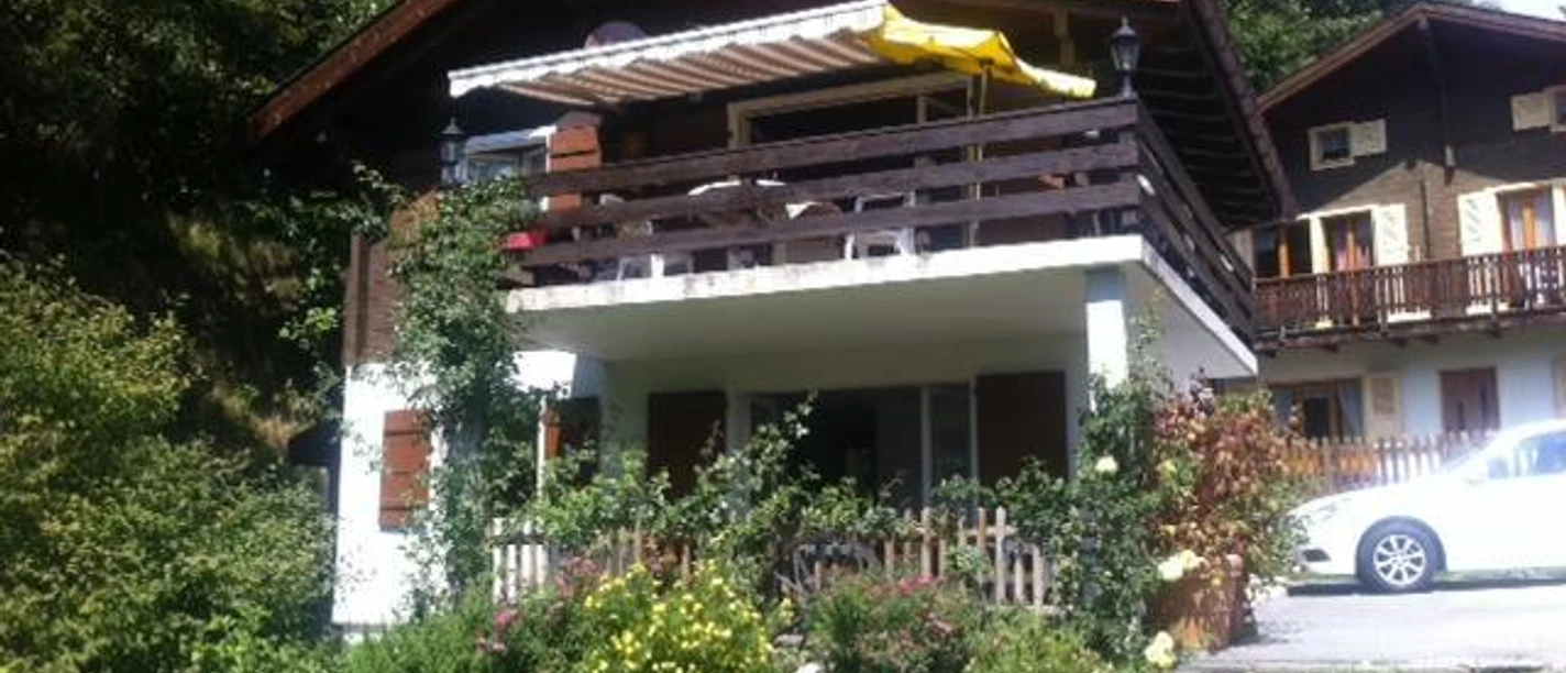 Colibri Sommer