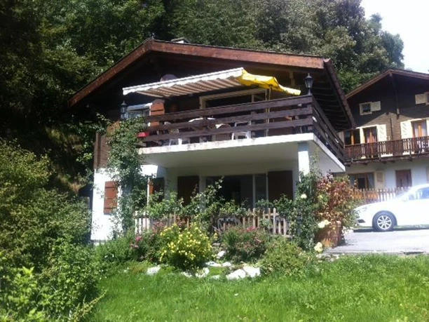 Colibri Sommer Colibri Sommer