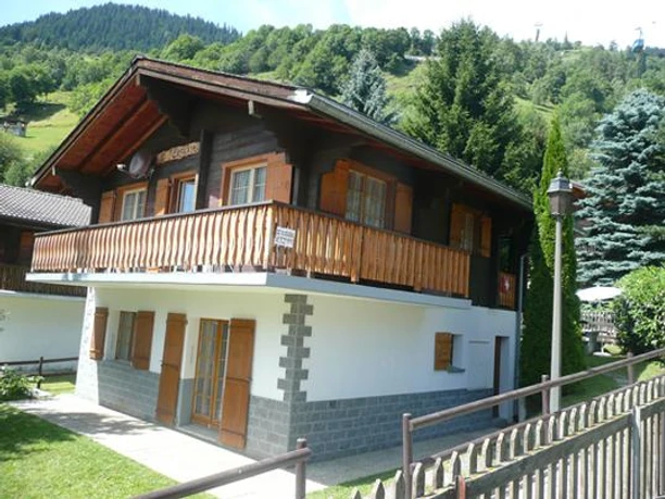 Enzian im Sommer