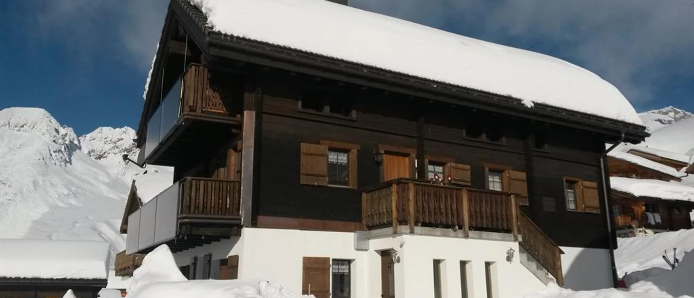 Bergdohle Bergdohle