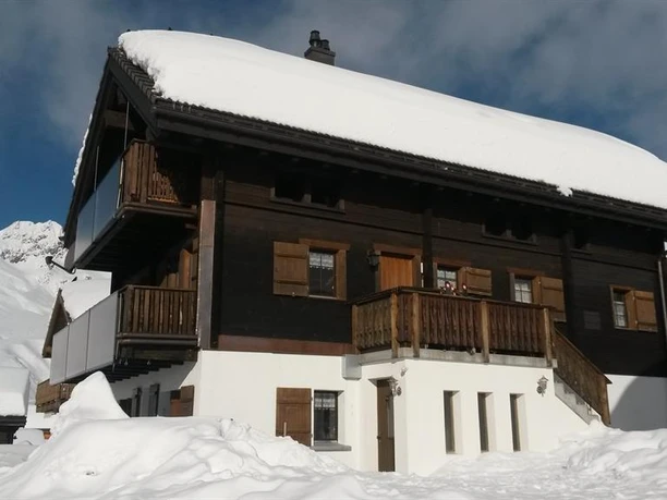 Bergdohle