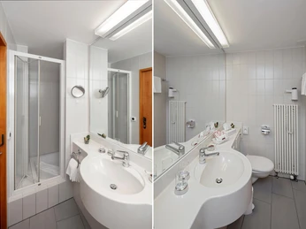 Bad Standart Hotel Alex Naters_Brig (2)