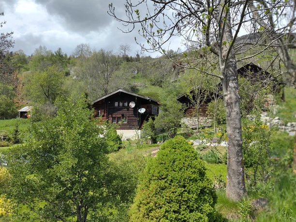 Frühling