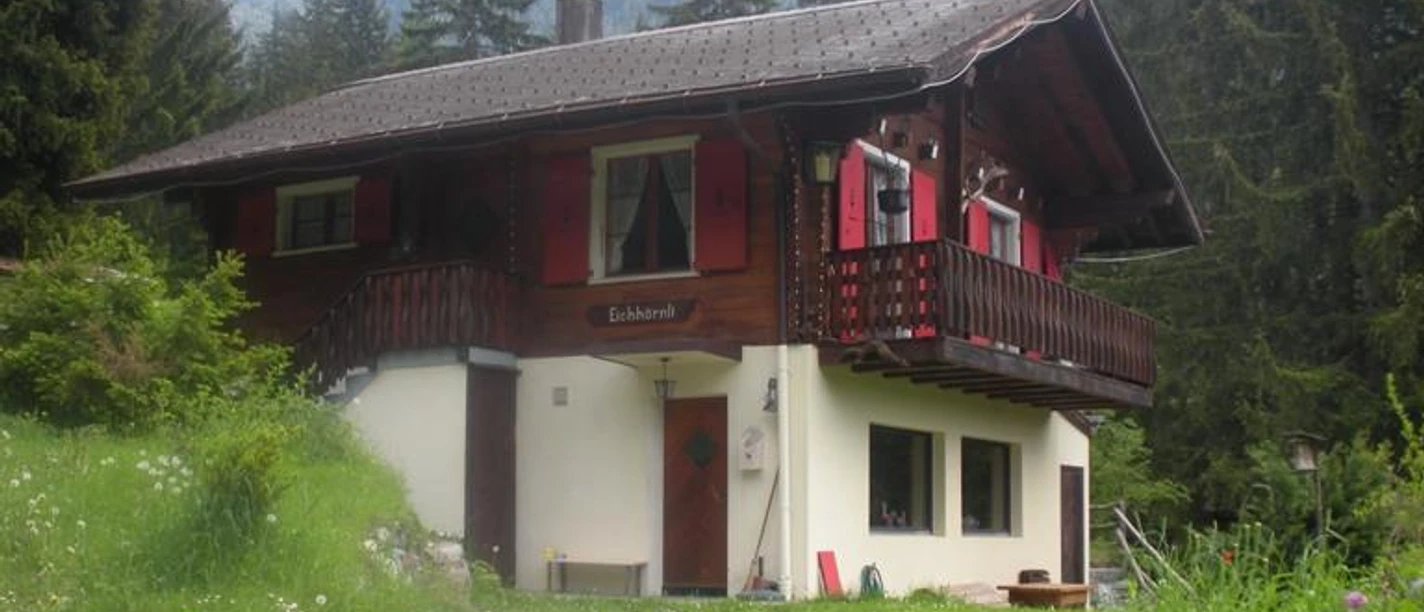 Eichhörnli Sommer