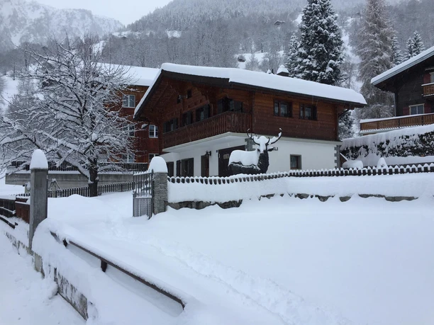 Winter