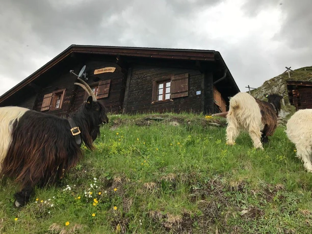 Chalet Aletschorama