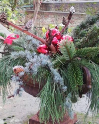 Winterimpressionen