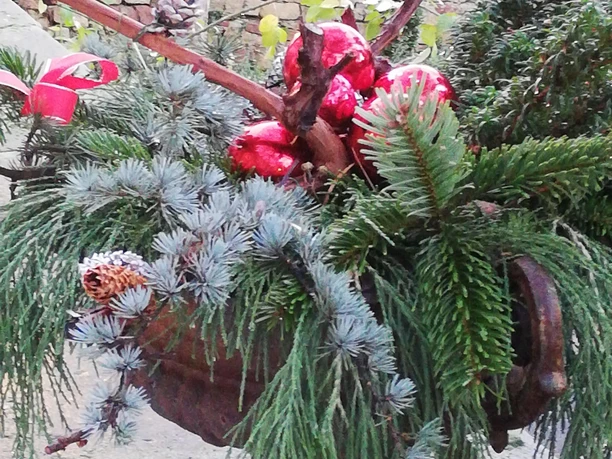 Winterimpressionen