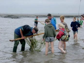 Krabbenfischen im Priel