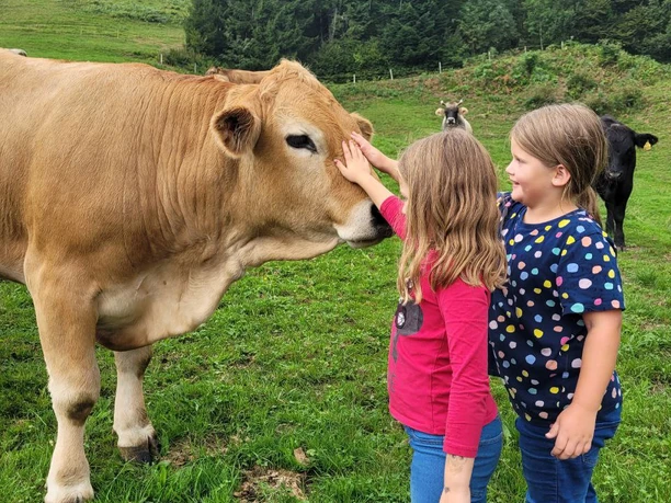 Tierische Begegnungen