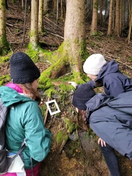 Die Natur entdecken