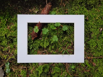 Die Naturwunder festhalten