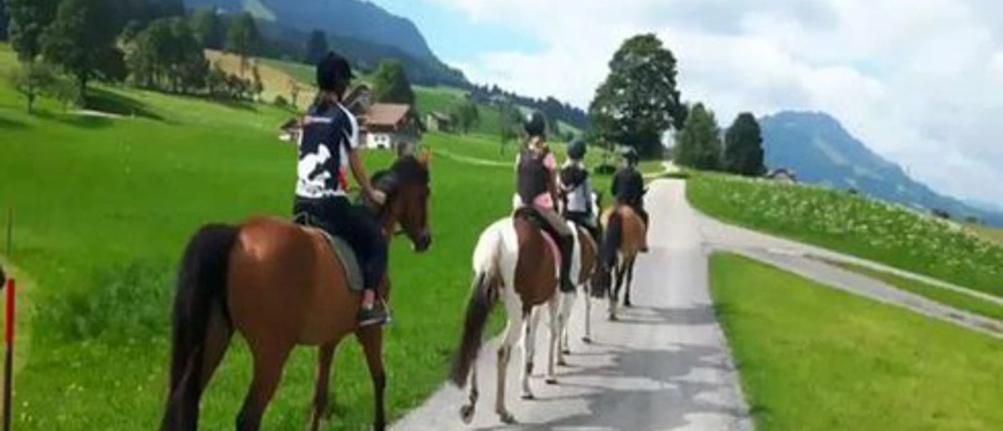 Ausritt mit den Pferden